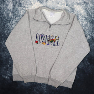 Vintage Grey Cozumel Snorkeler Embroidered 1/4 Zip Sweatshirt | Small